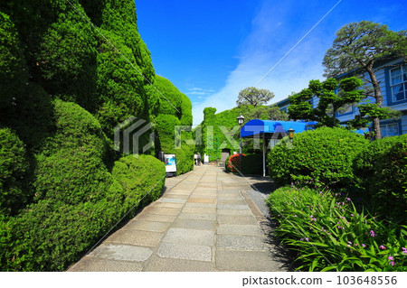 [Okayama Prefecture] Sunny Kurashiki Bikan Historical Quarter (Kurashiki Ivy Square) 103648556