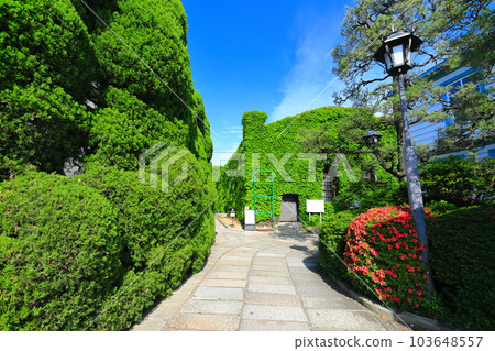 [Okayama Prefecture] Sunny Kurashiki Bikan Historical Quarter (Kurashiki Ivy Square) 103648557