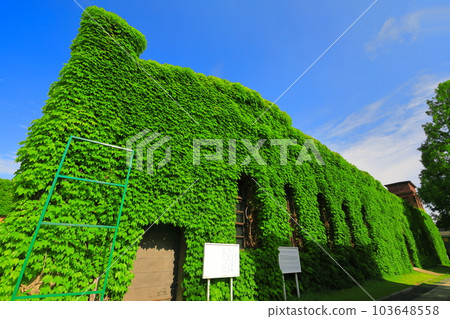 [岡山縣]陽光明媚的倉敷美觀地區（倉敷常春藤廣場） 103648558