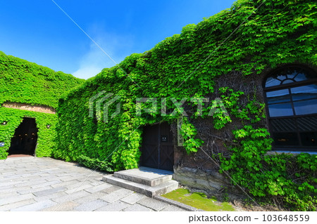 [Okayama Prefecture] Sunny Kurashiki Bikan Historical Quarter (Kurashiki Ivy Square) 103648559