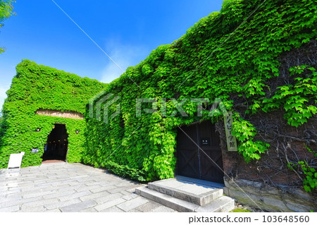[Okayama Prefecture] Sunny Kurashiki Bikan Historical Quarter (Kurashiki Ivy Square) 103648560