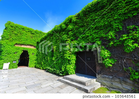 [Okayama Prefecture] Sunny Kurashiki Bikan Historical Quarter (Kurashiki Ivy Square) 103648561