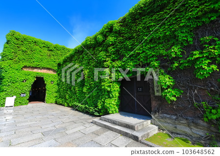 [Okayama Prefecture] Sunny Kurashiki Bikan Historical Quarter (Kurashiki Ivy Square) 103648562