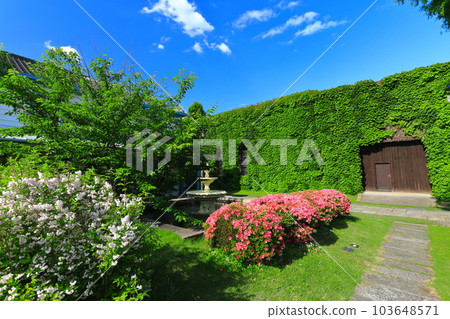 [岡山縣]陽光明媚的倉敷美觀地區（倉敷常春藤廣場） 103648571