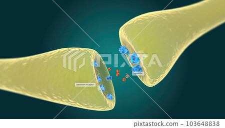 Neurotransmitters are chemicals that control the actions of neurons (nerve cells). 103648838