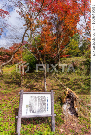 Scenery seen from the promenade on a sunny autumn day ``Yujaku Kouen, which shines in autumn leaves'' ``Bungo Ono City, Oita Prefecture'' 103649593