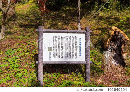 Scenery seen from the promenade on a sunny autumn day ``Yujaku Kouen, which shines in autumn leaves'' ``Bungo Ono City, Oita Prefecture'' 103649594