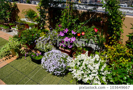 Making full use of the roof balcony, laying tiles and artificial turf, living in a flower garden with plants Making full use of the roof balcony, laying tiles and artificial turf, living in a flower garden with plants 103649667