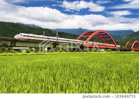 Tze-Chiang Limited Express(Tarko) train through the Kecheng bridge near Yuli railway station in Hualien, Taiwan, and a large area of rice fields ahead. 103649755