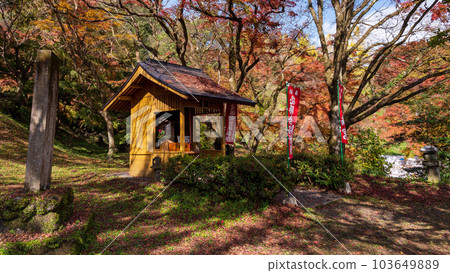 Tenmangu Shrine Yujaku Kouen Park (Bungo Ono City, Oita Prefecture) that shines in the autumn leaves 103649889