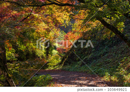 Scenery seen from the promenade “Yujaku Kouen Park” “Bungo Ono City, Oita Prefecture” 103649921