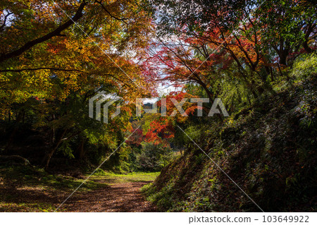 Scenery seen from the promenade “Yujaku Kouen Park” “Bungo Ono City, Oita Prefecture” 103649922