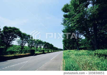 新鮮的綠色和道路 新鮮的綠色和道路 103650051
