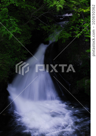 Ryuzu Falls [Nikko City, Tochigi Prefecture] 103650362