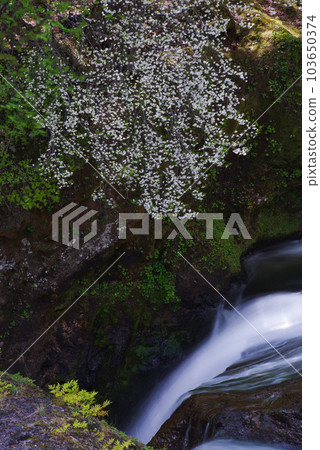 Ryuzu Falls [Nikko City, Tochigi Prefecture] 103650374
