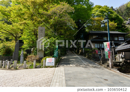 高尾山清瀧站前步道 1 trailhead 103650412