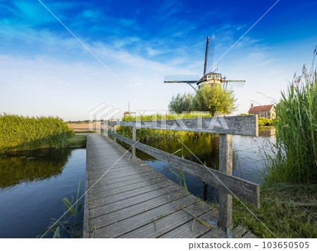Famous Dutch wooden windmills. Summer evening countryside.Colorful outdoor scene Netherlands Famous Dutch wooden windmills. Summer evening countryside.Colorful outdoor scene Netherlands 103650505