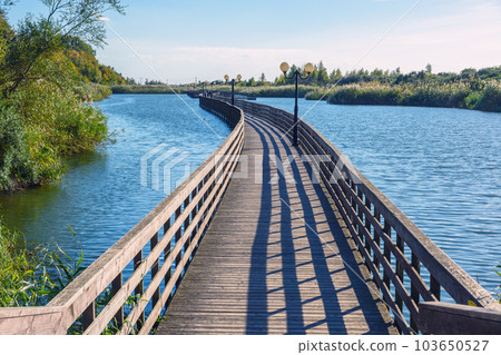 Wooden promenade along the Baltic Sea coas. Yantarny. Kaliningrad region. Russia Wooden promenade along the Baltic Sea coas. Yantarny. Kaliningrad region. Russia 103650527