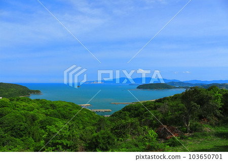 [岡山縣]從一本松展望台看到的牛門和小豆島 103650701