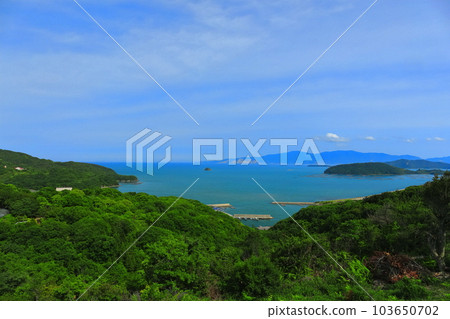 [岡山縣]從一本松展望台看到的牛門和小豆島 103650702