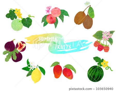 Summer fruit illustration set in watercolor style 103650940