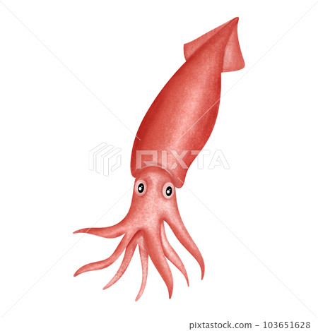 squid on vector illustration. Beautiful fish painting with action. 103651628