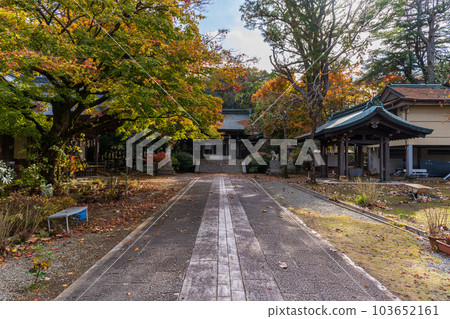在紅葉中閃耀的岡城跡 供奉著“戰神”廣瀨武夫中校的廣瀨神社（岡城跡） 大分縣竹田市 103652161