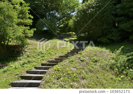 Kakegawa City, Shizuoka Prefecture National Historic Site Yokosuka Castle Stairs to Mt. Matsuo Kakegawa City, Shizuoka Prefecture National Historic Site Yokosuka Castle Stairs to Mt. Matsuo 103652173