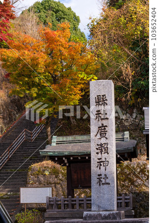 在紅葉中閃耀的岡城跡 供奉著“戰神”廣瀨武夫中校的廣瀨神社(岡城跡) 大分縣竹田市 在紅葉中閃耀的岡城跡 供奉著“戰神”廣瀨武夫中校的廣瀨神社(岡城跡) 大分縣竹田市 103652404