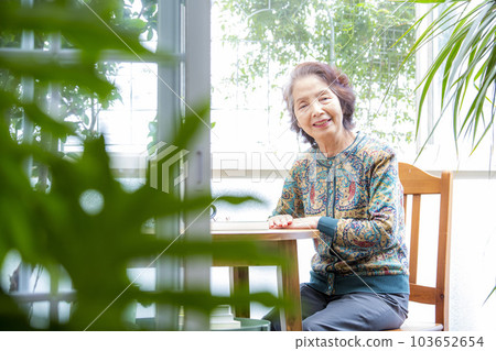 日本高級女性在日光浴室享受她的愛好 日本高級女性在日光浴室享受她的愛好 103652654