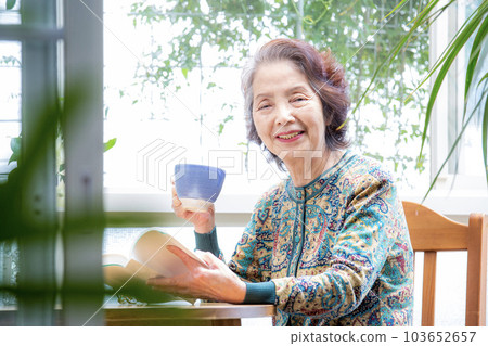 日本高級女性在日光浴室享受她的愛好 103652657