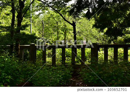 茨城縣水戶市的Gokoku神社 茨城縣水戶市的Gokoku神社 103652701