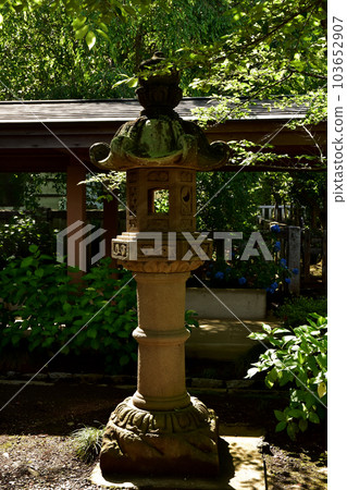 Gokoku Shinto Shrine in Mito City, Ibaraki Prefecture Gokoku Shinto Shrine in Mito City, Ibaraki Prefecture 103652907