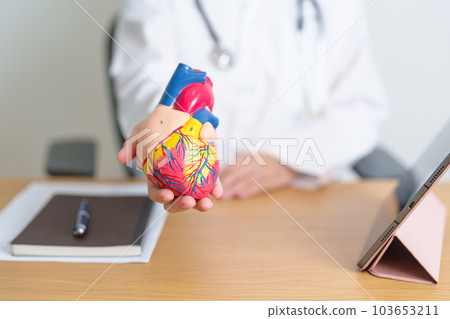 Doctor with human Heart anatomy model and tablet. Cardiovascular Diseases, Atherosclerosis, Hypertensive Heart, Valvular Heart, Aortopulmonary window, world Heart day and health concept Doctor with human Heart anatomy model and tablet. Cardiovascular Diseases, Atherosclerosis, Hypertensive Heart, Valvular Heart, Aortopulmonary window, world Heart day and health concept 103653211