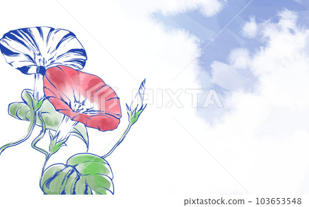 morning glory and summer clouds morning glory and summer clouds 103653548
