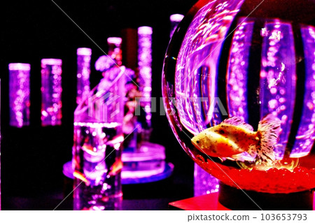 A goldfish bowl spreads out in a mysterious space 103653793