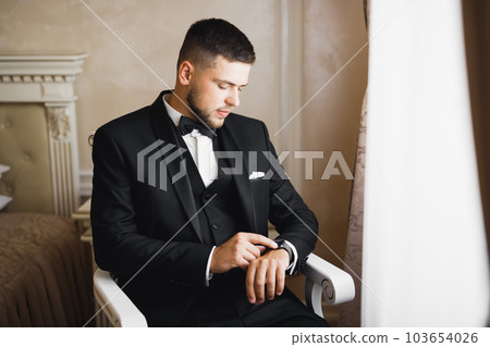 Beautiful man, groom posing and preparing for wedding 103654026