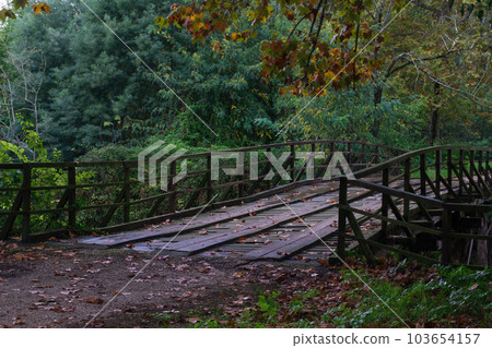 Wooden bridge across the river in the autumn park 103654157