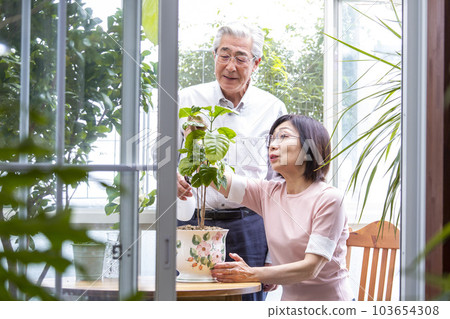 一對日本中年夫婦在日光浴室享受園藝 一對日本中年夫婦在日光浴室享受園藝 103654308