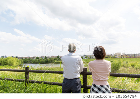The back view of a middle-aged Japanese couple, a middle-aged Japanese couple conversing while looking at the rows of houses in a residential area, 103654784