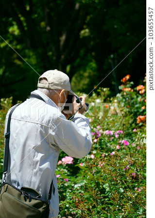 Senior photographing roses 103655457