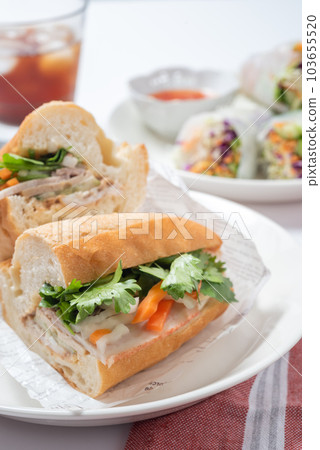 Banh Mi 和新鮮春捲越南菜垂直位置 103655520