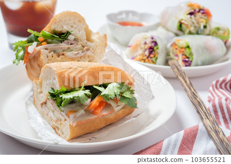 Banh Mi 和新鮮春捲越南美食 103655521