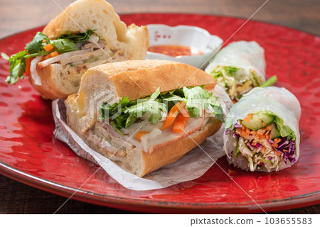 Banh Mi and Fresh Spring Rolls Vietnamese Cuisine Banh Mi and Fresh Spring Rolls Vietnamese Cuisine 103655583