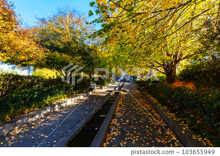 St. Patrick's Cathedral in Melbourne Australia St. Patrick's Cathedral in Melbourne Australia 103655949