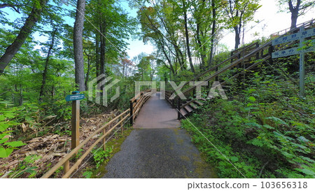 步行至旭川市嵐山展望台1 103656318