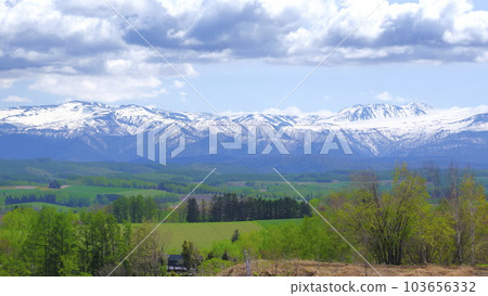 Mt. Tomuraushi direction 1 from Biei-cho Ken and Mary tree Mt. Tomuraushi direction 1 from Biei-cho Ken and Mary tree 103656332