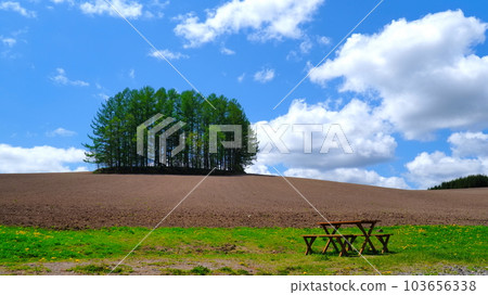 Biei Town Mild Seven Hill 22 Biei Town Mild Seven Hill 22 103656338