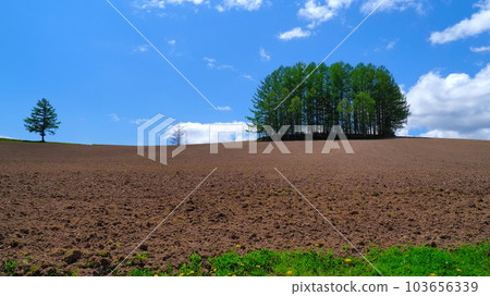 Biei Town Mild Seven Hill 23 Biei Town Mild Seven Hill 23 103656339