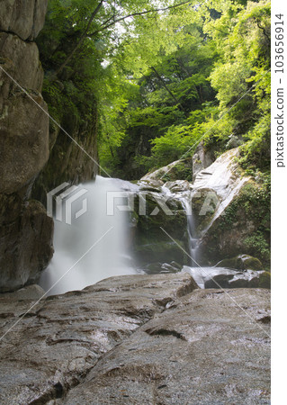 新綠大白川谷 103656914